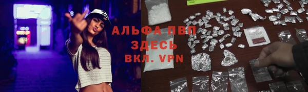 спайс Касимов
