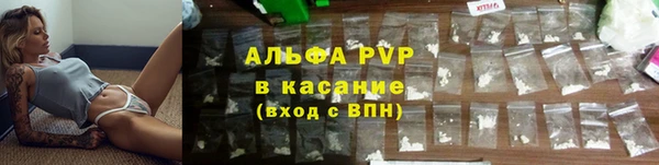 спайс Касимов