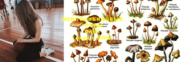 мдма Карпинск