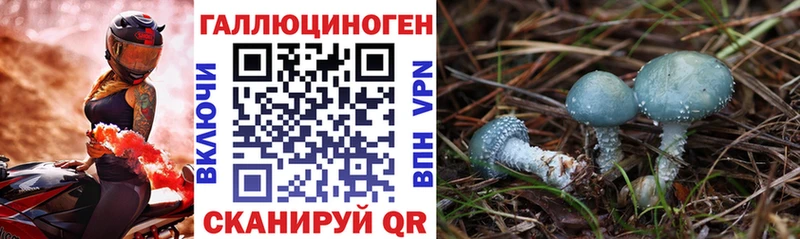 закладки  Новошахтинск  Галлюциногенные грибы MAGIC MUSHROOMS 