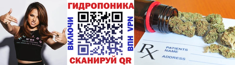 Конопля Amnesia  где найти   Новошахтинск 